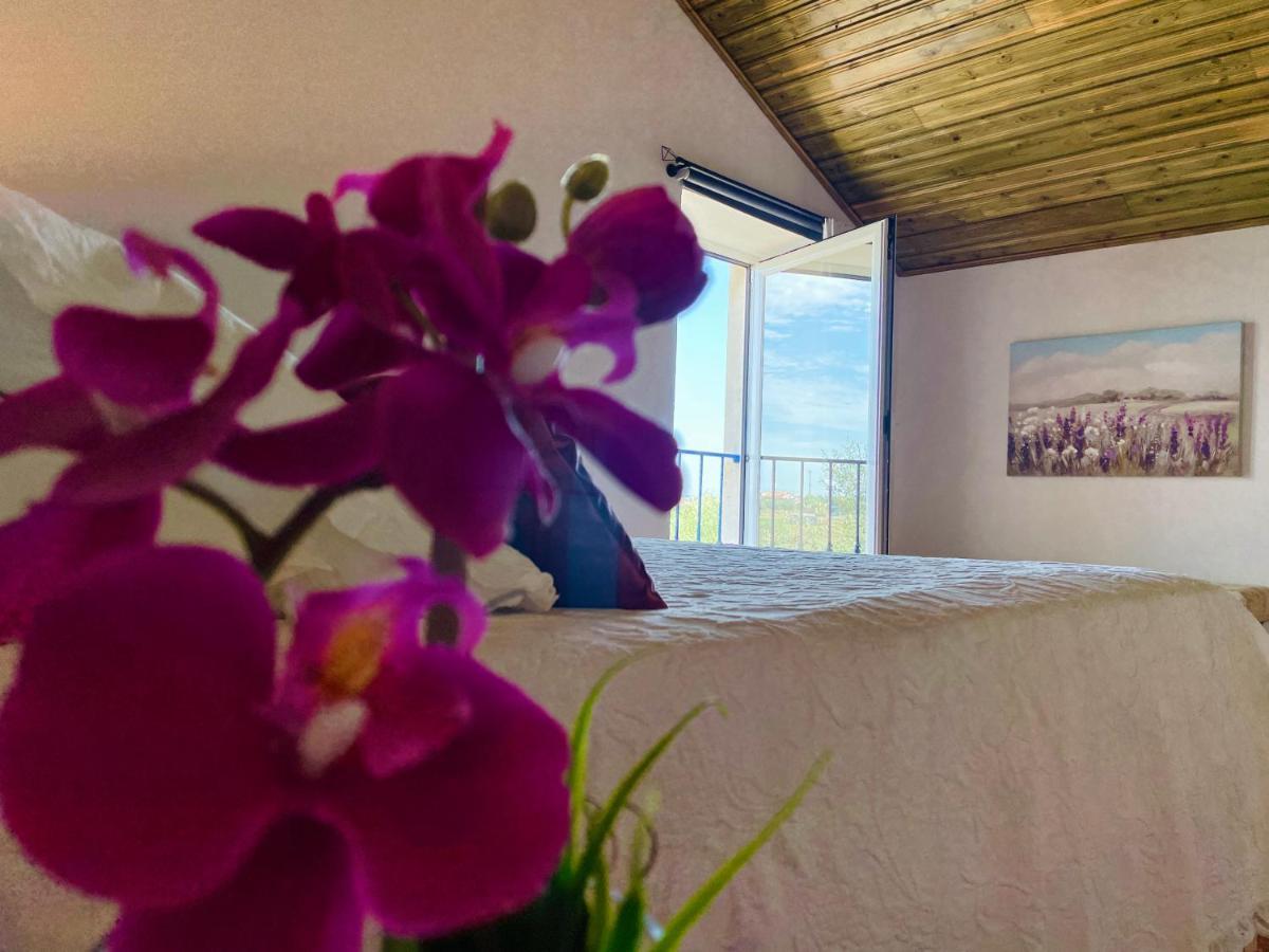 Tufa Guest House, Wellness & - Campus