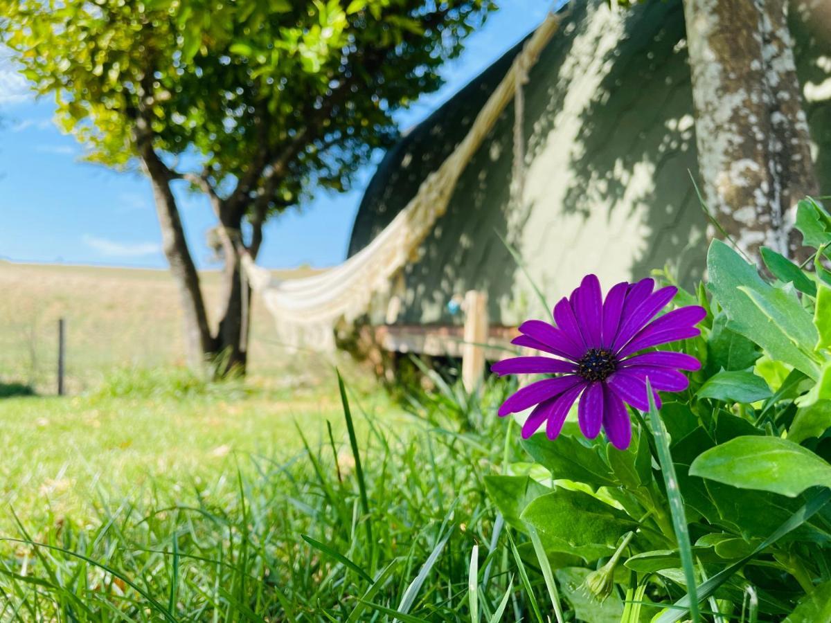 Tufa Guest House, Wellness & - Campus Holiday home Corredoura